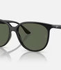 Ray-Ban RB4378 Sunglasses