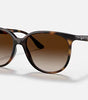 Ray-Ban RB4378 Sunglasses