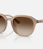 Ray-Ban RB4459D Sunglasses