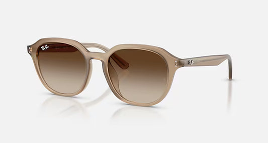 Ray-Ban RB4459D Sunglasses