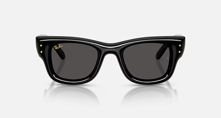 Ray-Ban Wayfarer Puffer Sunglasses