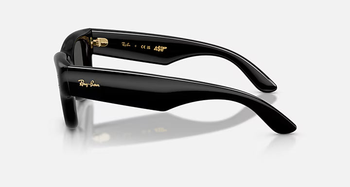 Ray-Ban Wayfarer Puffer Sunglasses