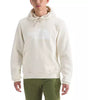 The North Face Men's Evolution Half Dome Hoodie