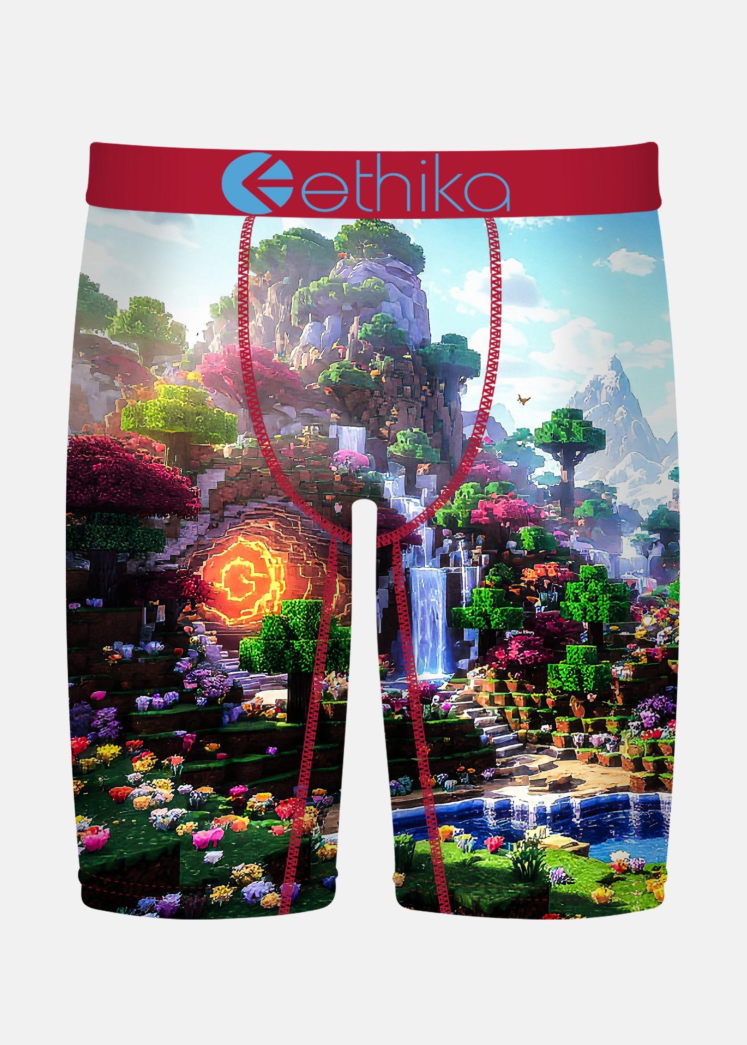 Ethika Men's Staple Boxer/Brief