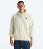 The North Face Men's Evolution Half Dome Mountain Hoodie