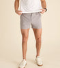 Chubbies Men's The World's Grayest Performance Short