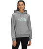 The North Face Women's Evolution Regenerative Ink Half Dome Hoodie
