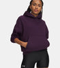 Under Armour Women's Icon Fleece Hoodie