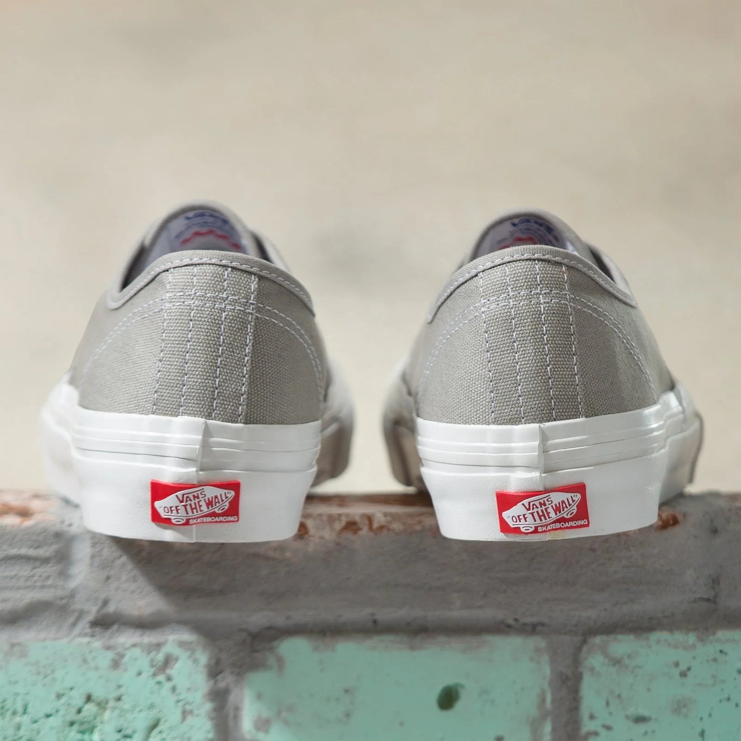 Skate Authentic Drizzle
