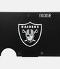 The Ridge Bundle