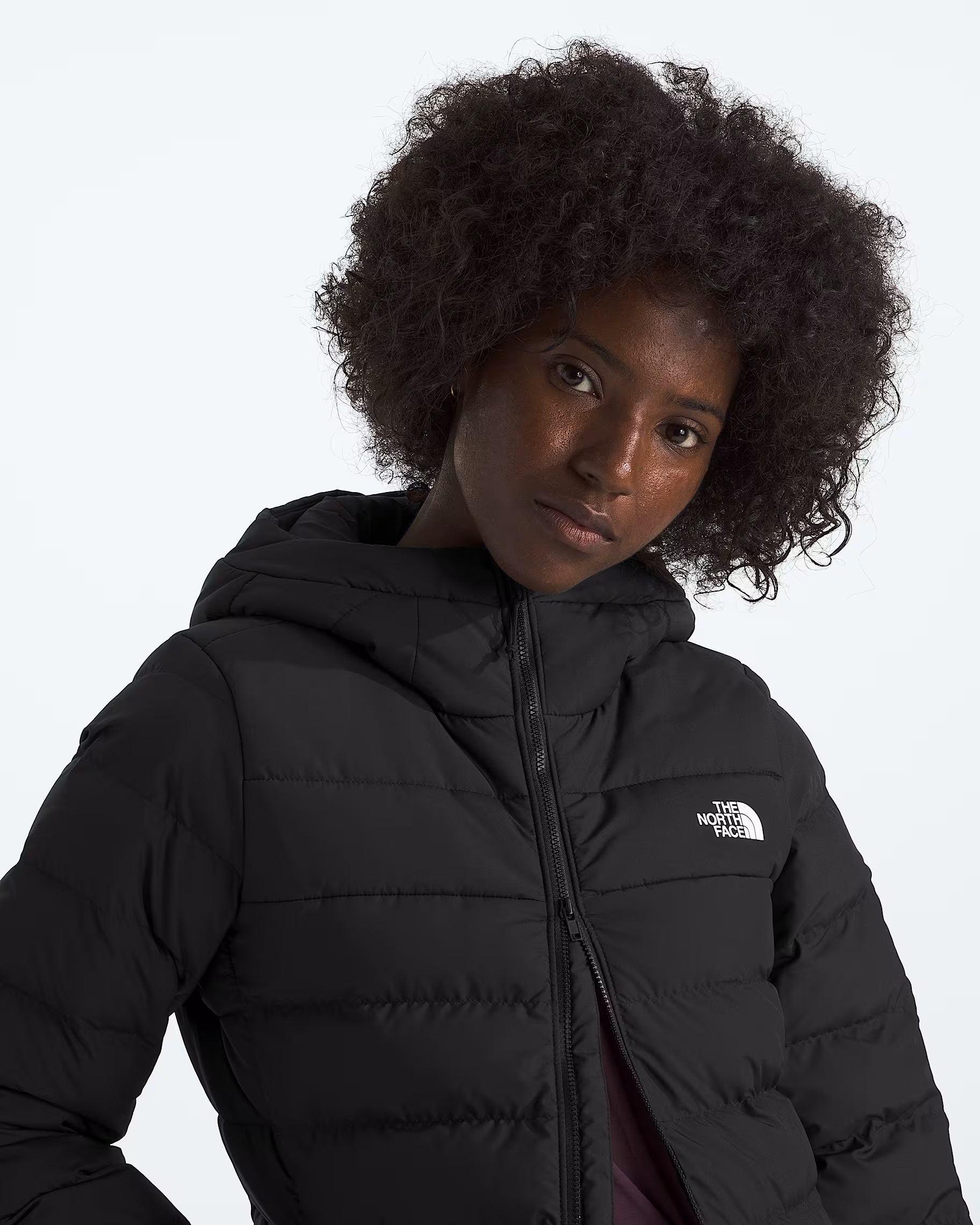 The North Face Women's Aconcagua Hooded Parka