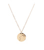 Zodiac Sign Rose Gold Necklace