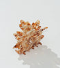 Adorro Maple Leaf Claw Clip