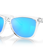 Frogskins Sunglasses