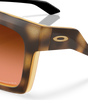Oakley Enigma Ink Sunglasses