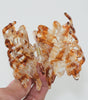 Adorro Maple Leaf Claw Clip