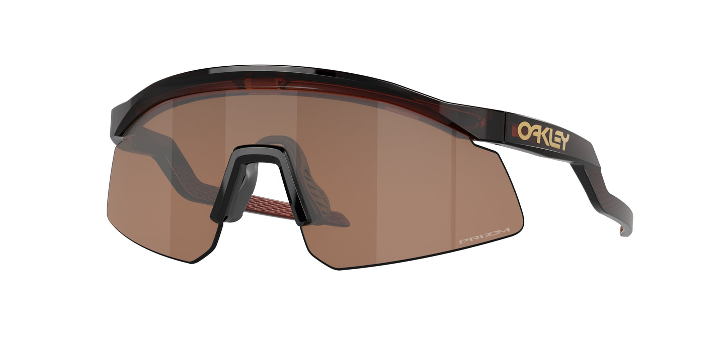 Hydra Sunglasses