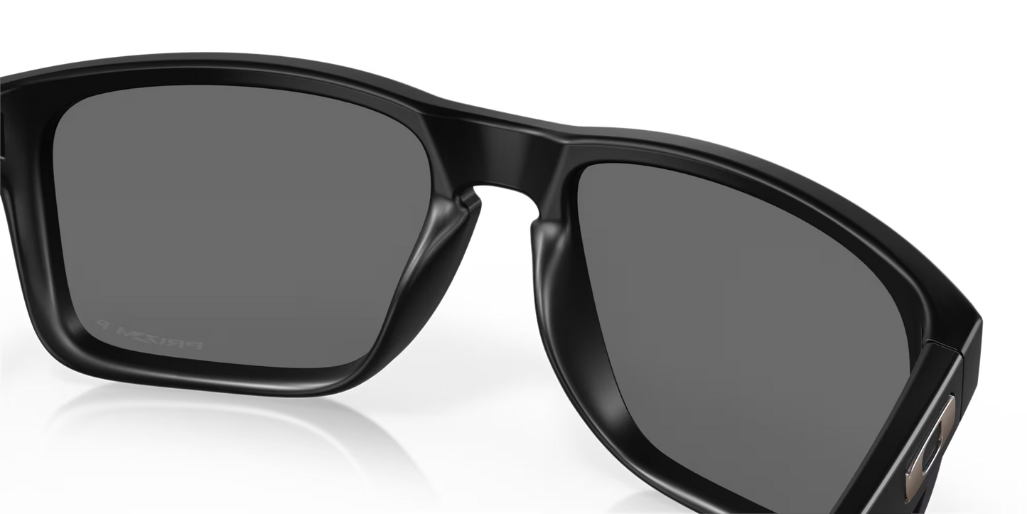 Holbrook XL Sunglasses