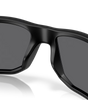 Gibston XL Sunglasses