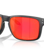 Oakley Holbrook XXL
