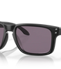 Holbrook Sunglasses
