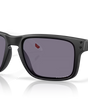 Holbrook Sunglasses