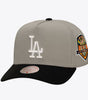 Mitchell and Ness In the City Pro Snapback