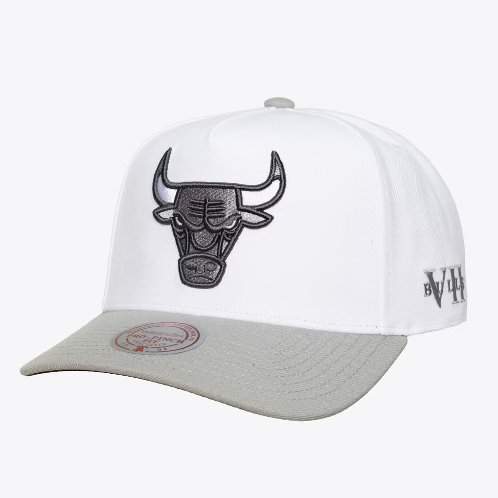 Mitchell and Ness NBA Core VII Pro Snapback