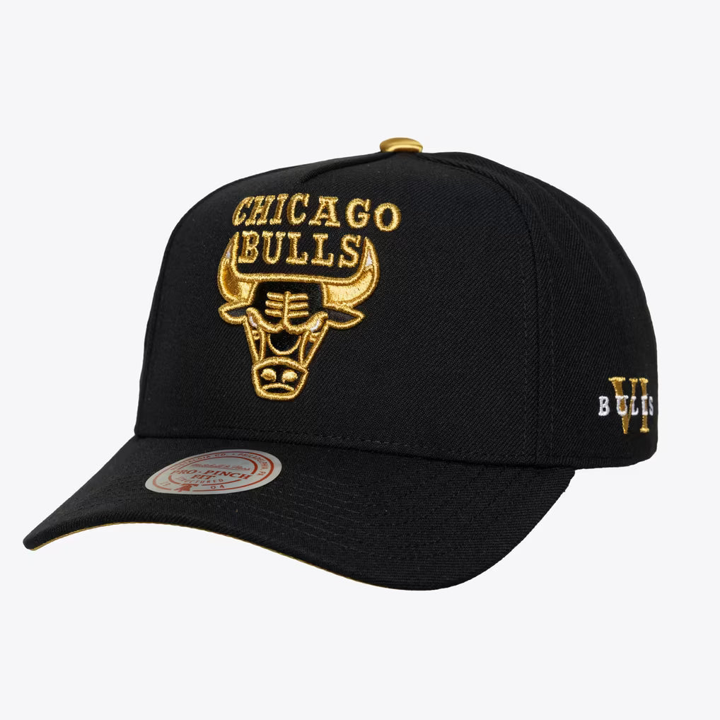 Mitchell and Ness NBA Core VI Pro Snapback