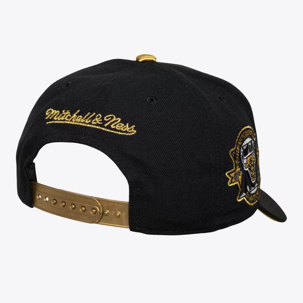 Mitchell and Ness NBA Core VI Pro Snapback