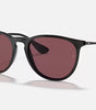 Ray-Ban Erika Sunglasses