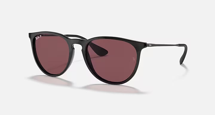 Ray-Ban Erika Sunglasses