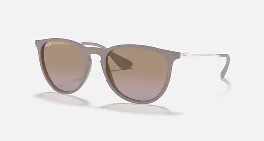 Ray-Ban Erika Sunglasses