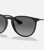 Ray-Ban Erika Sunglasses