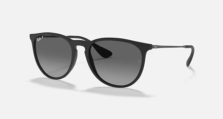 Ray-Ban Erika Sunglasses