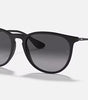 Ray-Ban Erika Sunglasses