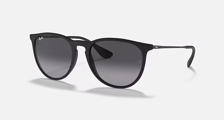 Ray-Ban Erika Sunglasses