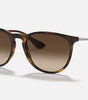 Ray-Ban Erika Sunglasses