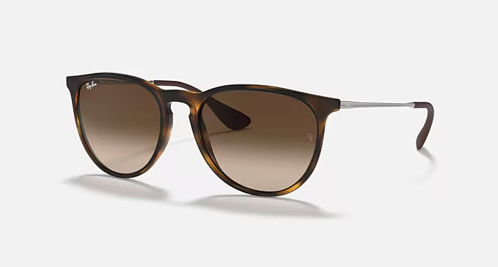 Ray-Ban Erika Sunglasses
