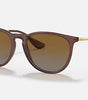 Ray-Ban Erika Sunglasses