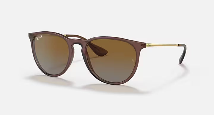 Ray-Ban Erika Sunglasses