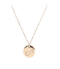 Zodiac Sign Rose Gold Necklace