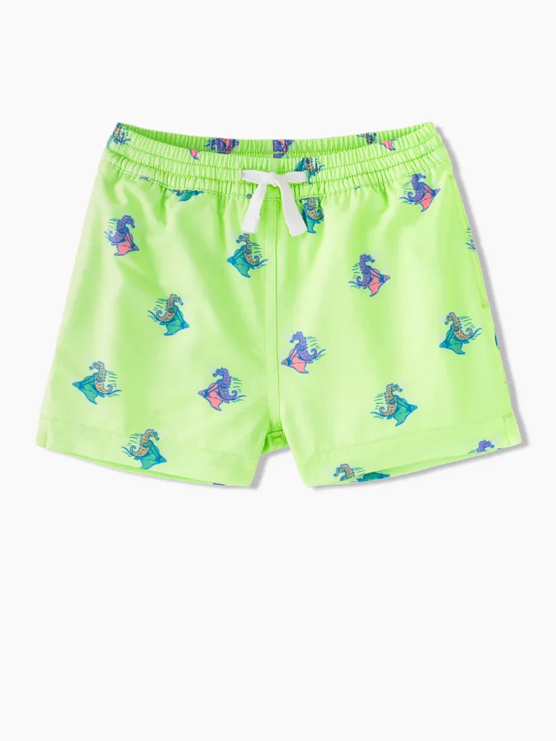 Chubbies The Seahorsin' Arounds