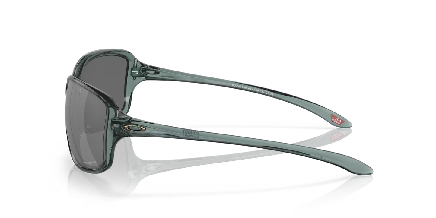 Cohort Sunglasses