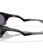 Oakley Plantaris Sunglasses