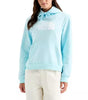 The North Face Women's Evo Half Dome Hoodie