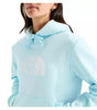 The North Face Women's Evo Half Dome Hoodie
