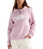 The North Face Women's Evo Half Dome Hoodie