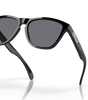 Frogskins Sunglasses