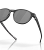 Reedmace Sunglasses